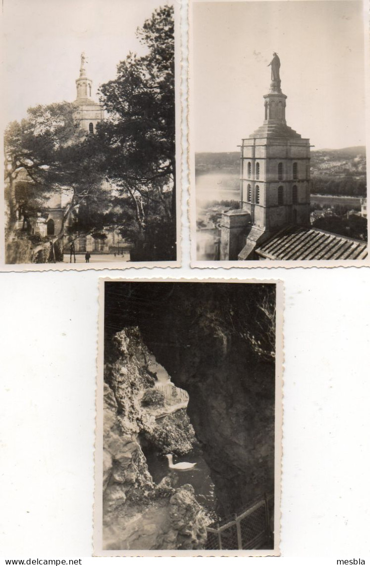 3 Photos -  AVIGNON -  Chateau Des Papes,  La Vierge De L'  église -   Jardin Du Chateau Des Papes. - Plaatsen