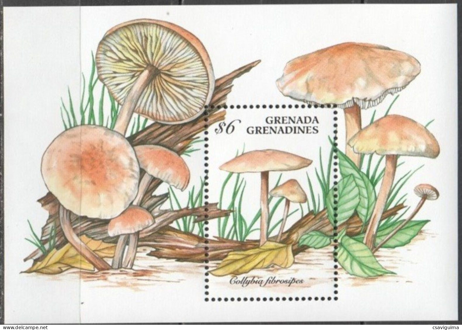 Grenada Grenadines - 1994 - Mushrooms - Yv Bf 298 - Pilze