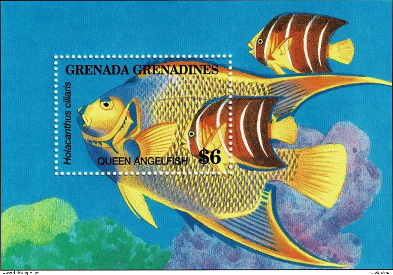 Grenada Grenadines - 1994 - Fishes - Yv Bf 310 - Fishes