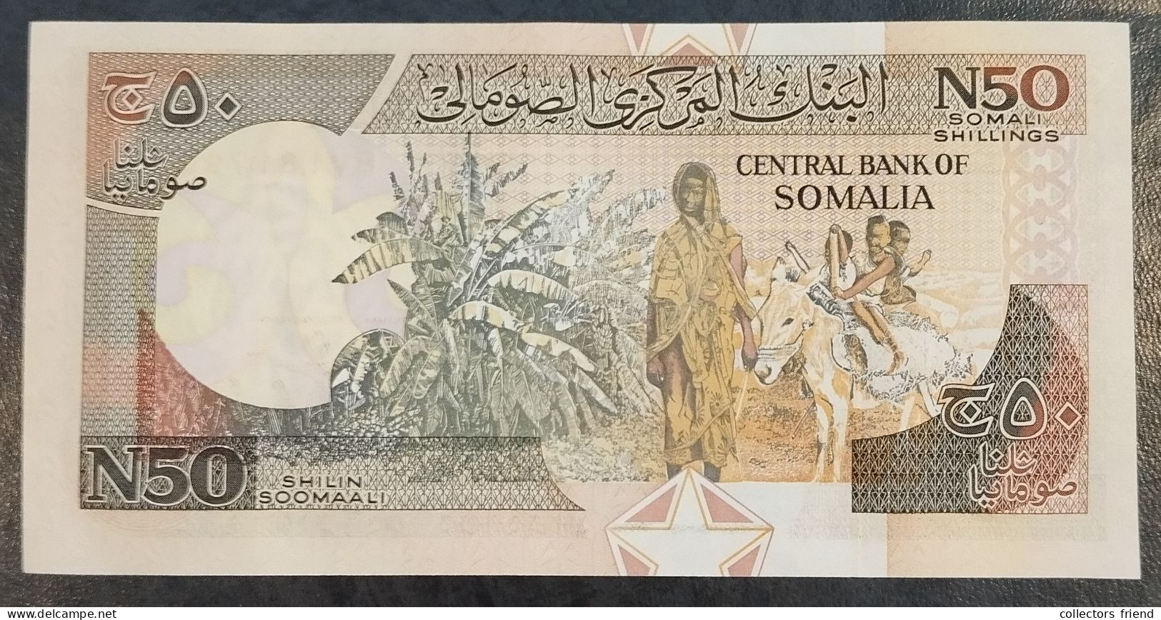 SOMALIA  - Year 1991 - 50 SHILIN - UNC - Somalië