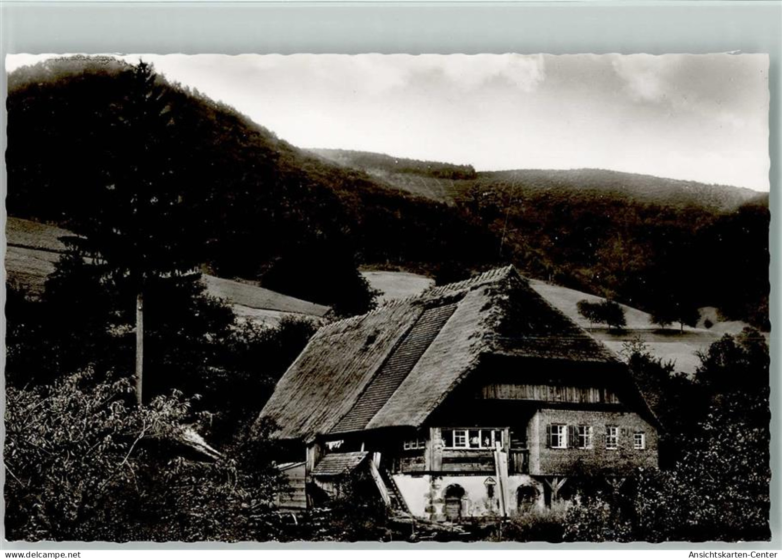 12038904 - Schwarzwald Haeuser - Hochschwarzwald