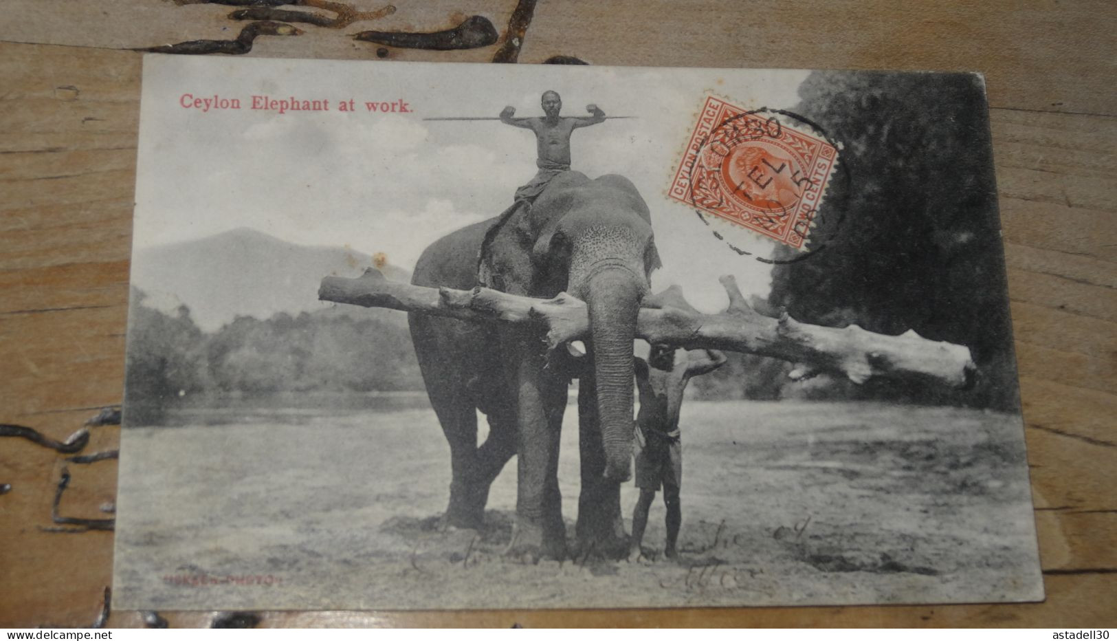 Ceylon Elephant At Work ................ BE-18323 - Sri Lanka (Ceilán)