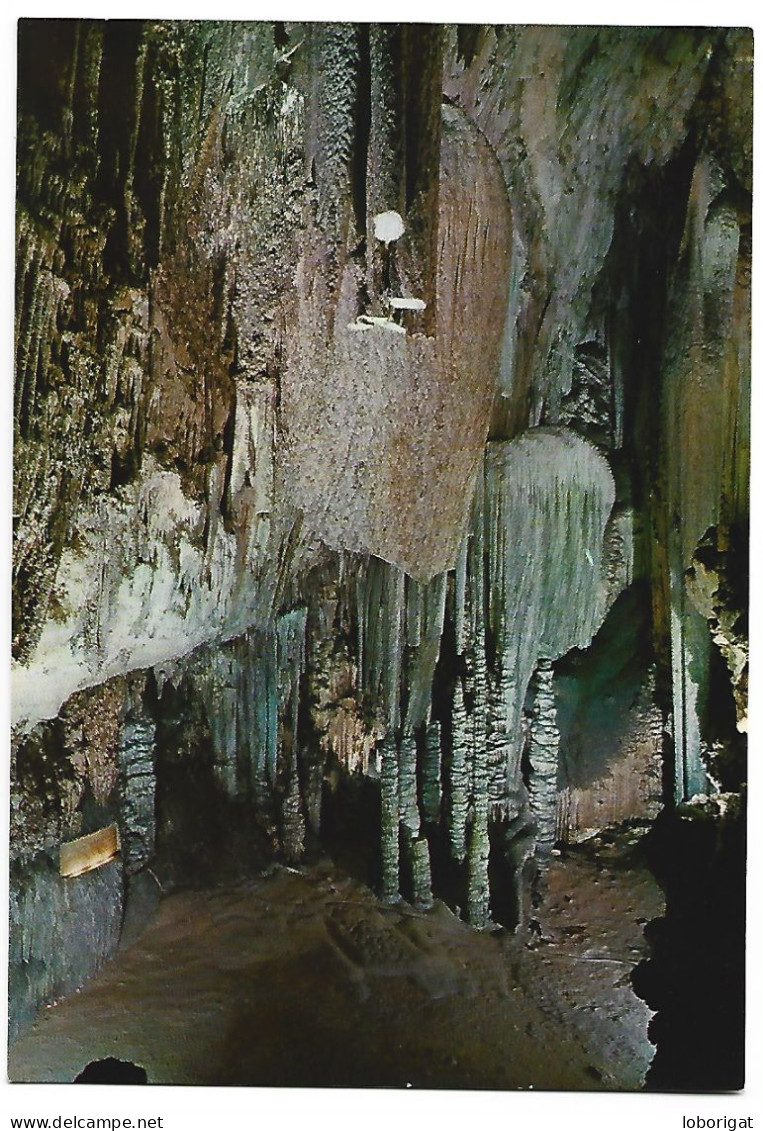 SALON DE LAS BANDERAS / HALL OF THE FLAGS.-  CUEVA DE ARTA.- CAPDEPERA - MALLORCA - BALEARES.- ( ESPAÑA ) - Mallorca