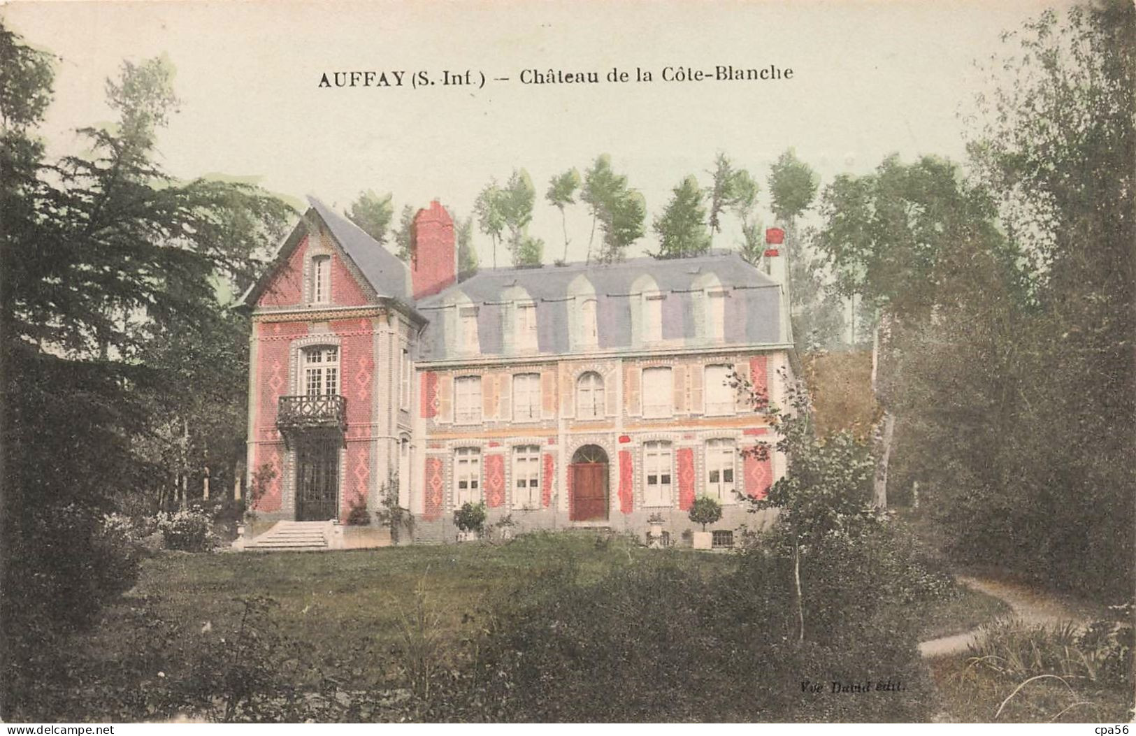 AUFFAY - Château De La Côte Blanche - Carte Ancienne Colorisée Vve David éd. - Auffay