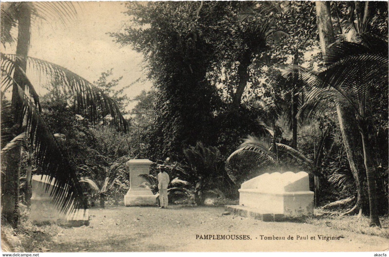 PC MAURITIUS PAMPLEMOUSSES TOMBEAU DE PAUL ET VIRIGNIE (a53756) - Mauritius