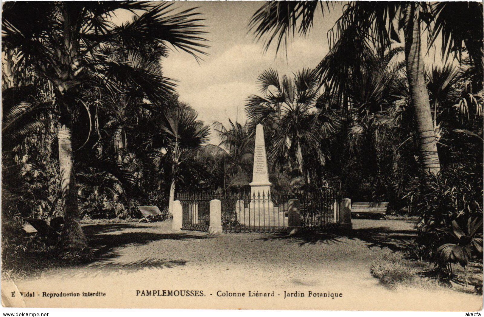 PC MAURITIUS PAMPLEMOUSSES JARDIN BOTANIQUE COLONNE LIÉNARD (a53755) - Mauritius