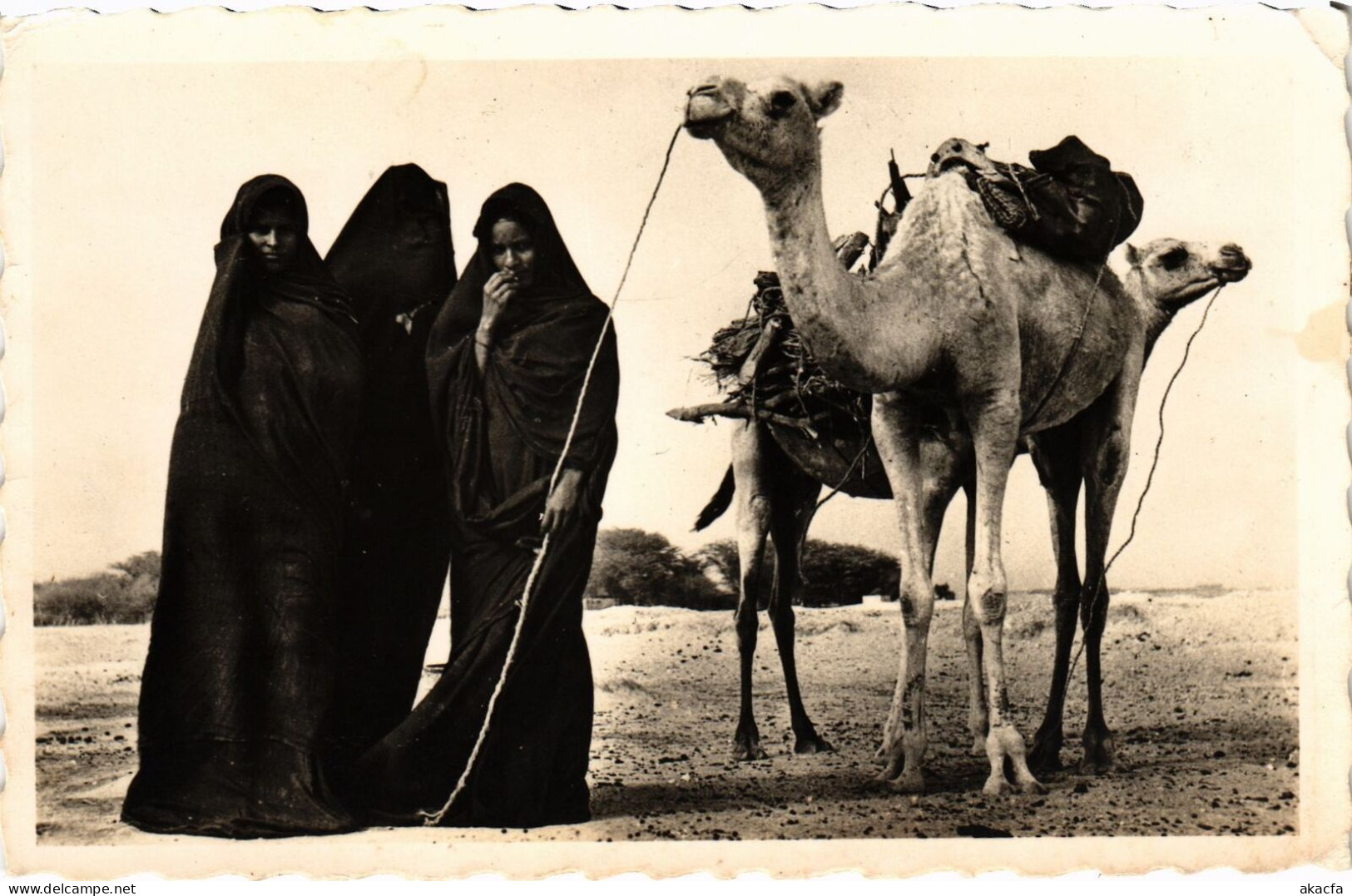 PC MAURITANIA FEMMES MAURES A LA CORVÉE DE BOIS ETHNIC TYPES (a53258) - Mauritania