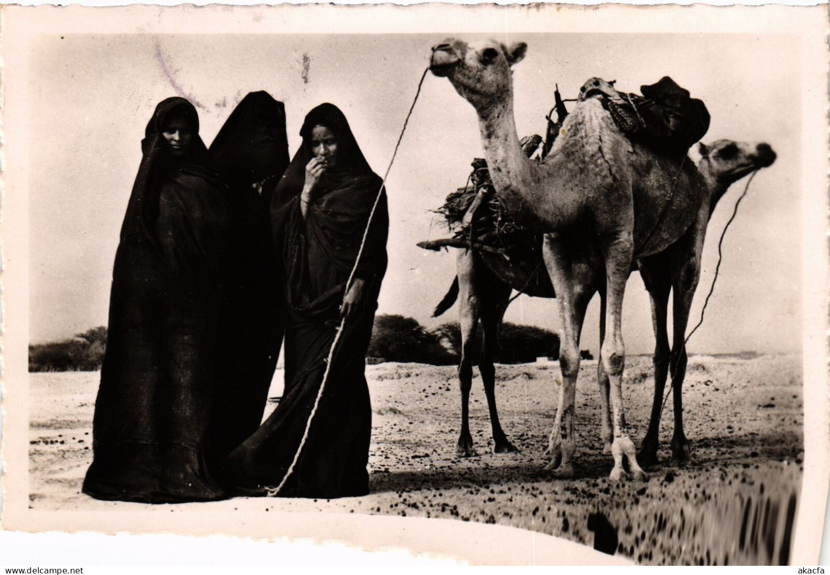 PC MAURITANIA FEMMES MAURES A LA CORVÉE DE BOIS ETHNIC TYPES (a53246) - Mauritania