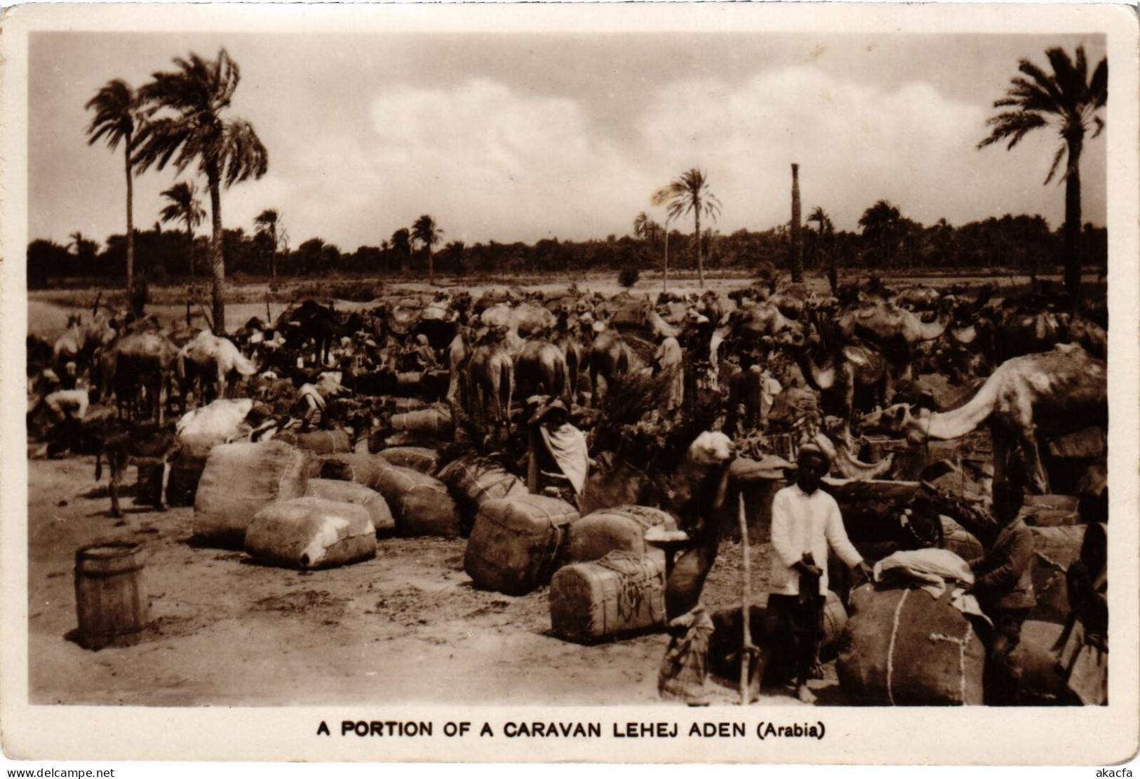 PC YEMEN ADEN CARAVAN LEHEJ REAL PHOTO POSTCARD (a53189) - Yemen