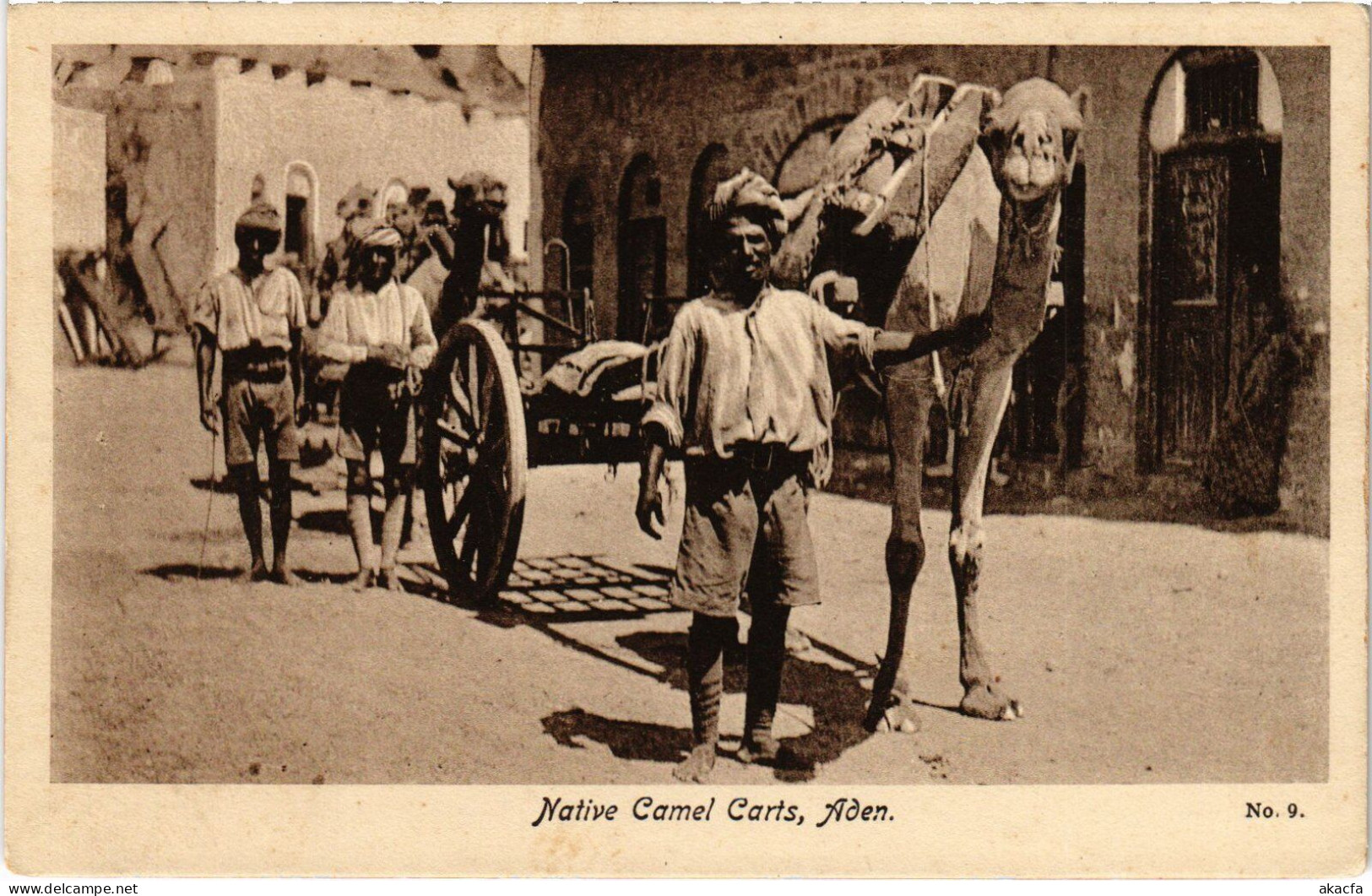 PC YEMEN ADEN NATIVE CAMEL CARTS (a53166) - Yémen