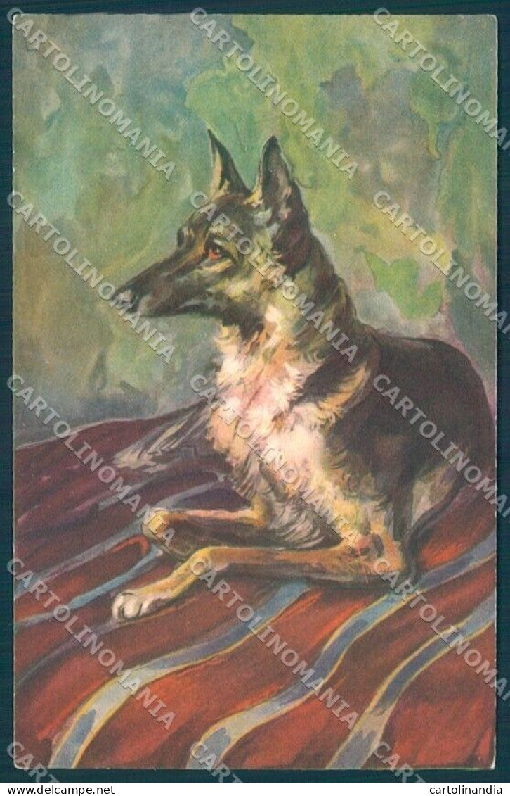 Animals Dog German Shepherd Professor Lenci Degami 51 Cartolina Postcard TW1182 - Andere & Zonder Classificatie