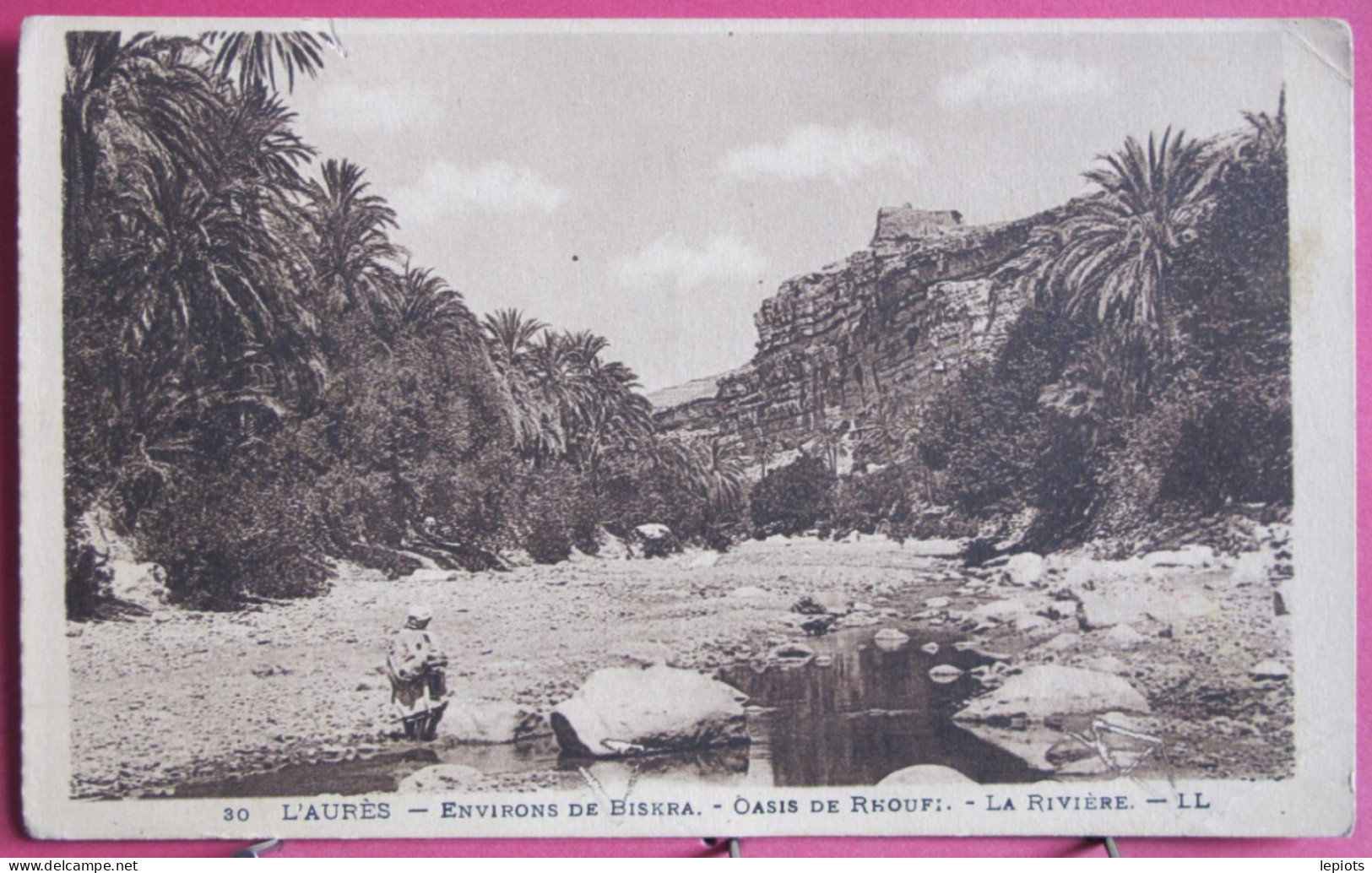 Algérie - L'Aurès - Environs De Biskra - Oasis De Rhoufi - La Rivière - Biskra