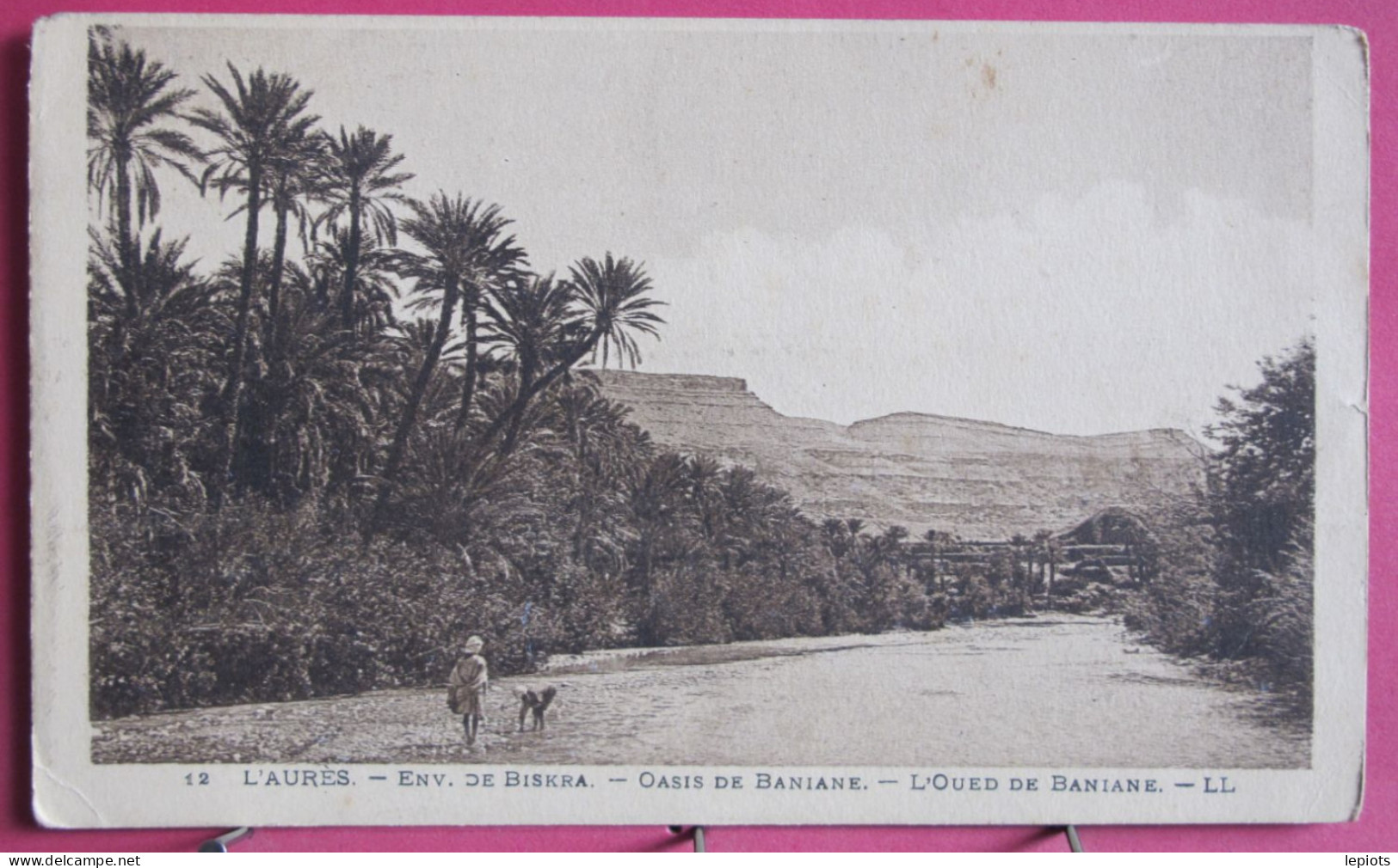 Algérie - L'Aurès - Environs De Biskra - Oasis De Rhoufi - L'Oued De Baniane - Biskra