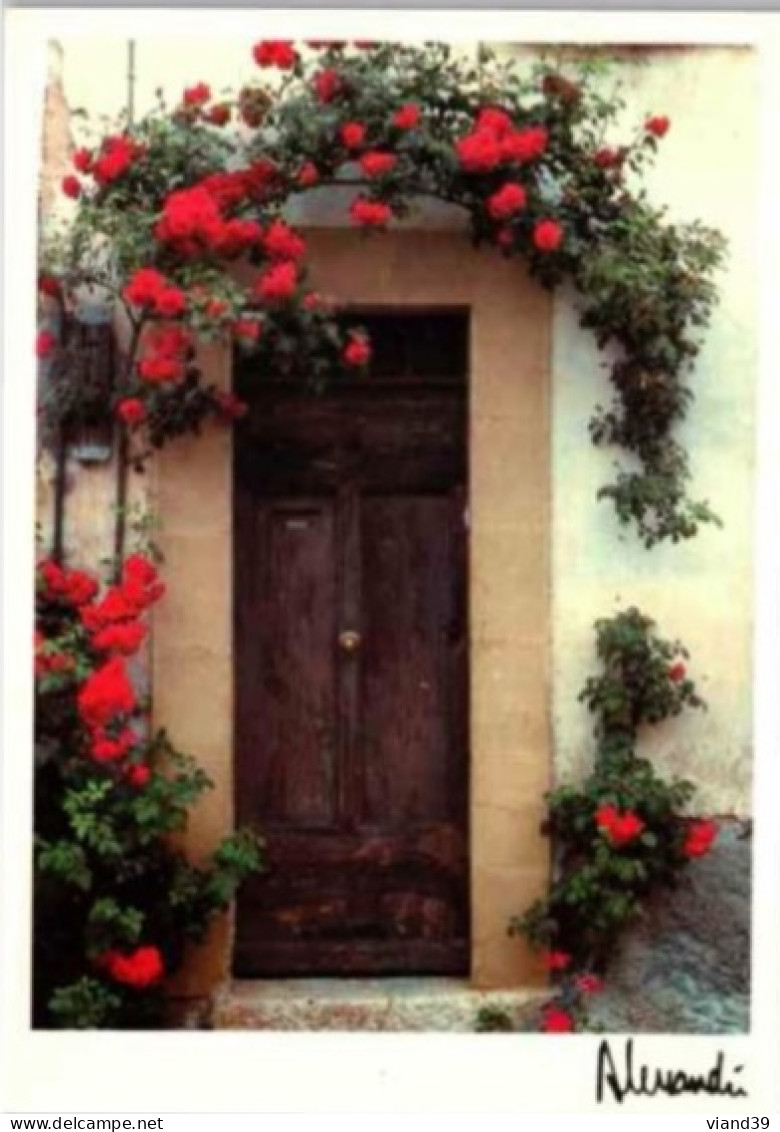 " Provence Anse Rouge "  -  Photo De  J-F Alessandri.  1992 - Photographie