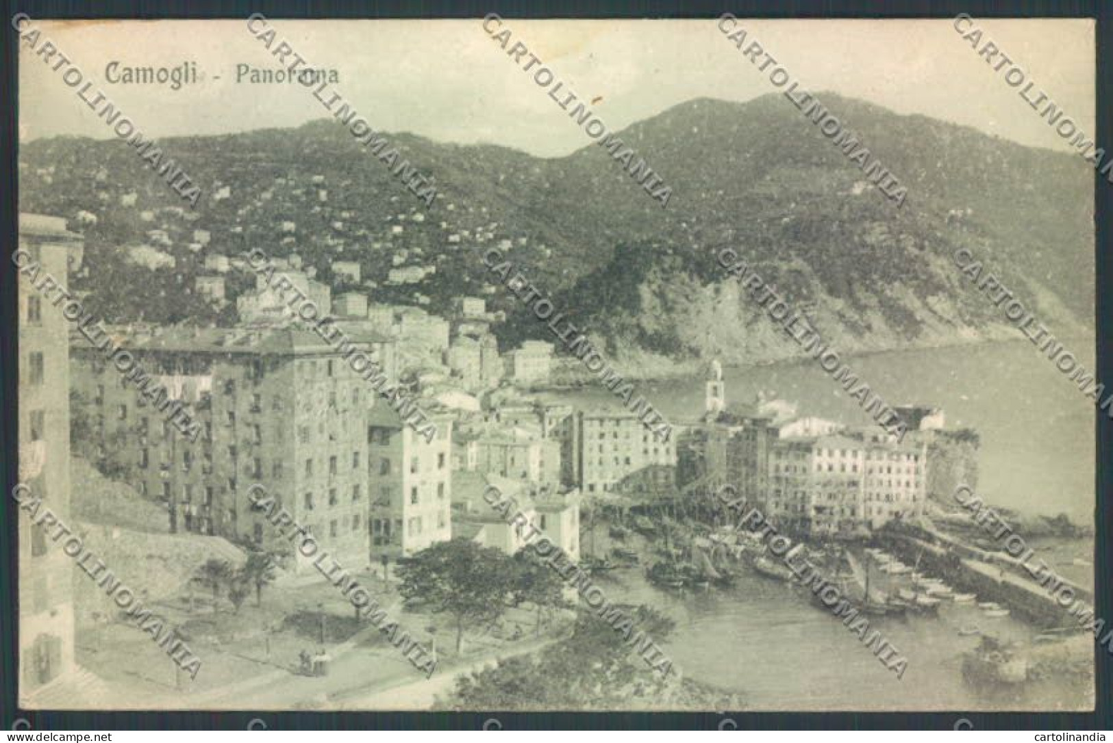 Genova Camogli Cartolina ZQ9394 - Genova (Genoa)