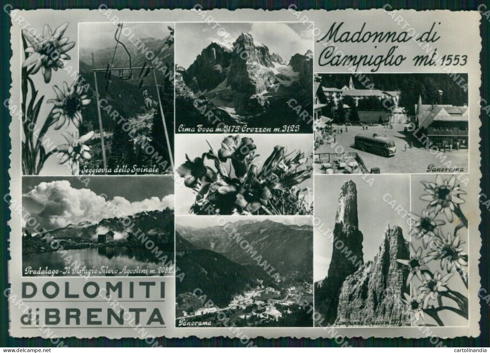 Trento Pinzolo Madonna Di Campiglio Foto FG Cartolina ZK4551 - Trento