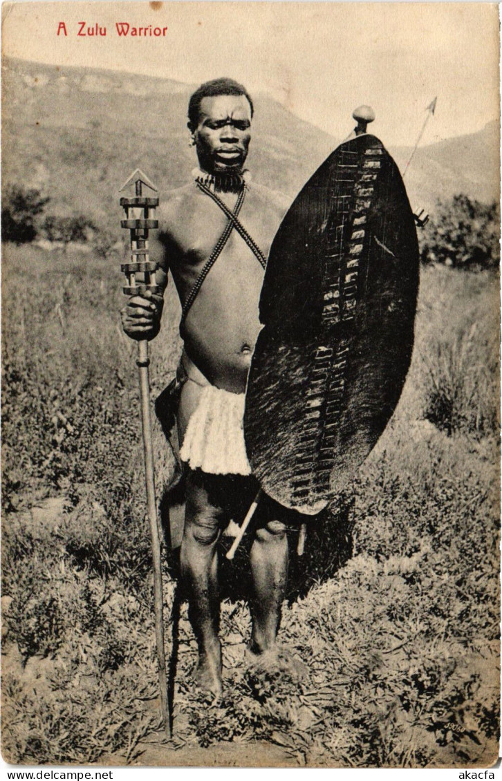 PC AFRICA, SOUTH AFRICA, A ZULU WARRIOR, Vintage Postcard (b53109) - Afrique Du Sud