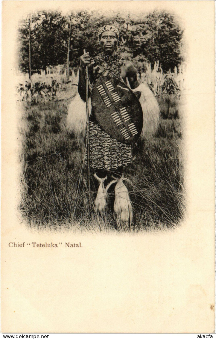 PC AFRICA, SOUTH AFRICA, CHIEF TETELUKE NATAL, Vintage Postcard (b53110) - Südafrika