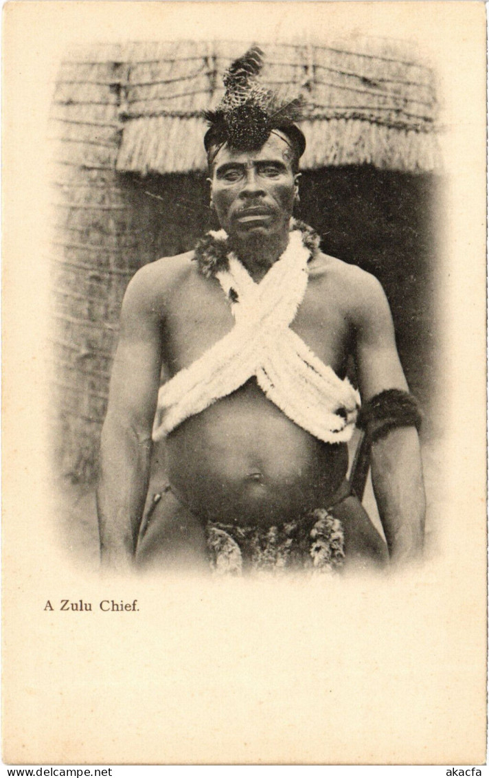 PC AFRICA, SOUTH AFRICA, A ZULU CHIEF, Vintage Postcard (b53112) - South Africa