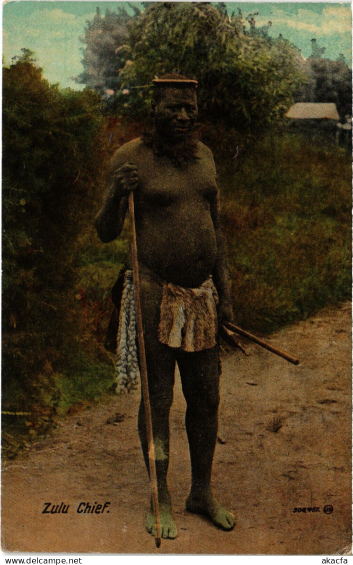 PC AFRICA, SOUTH AFRICA, ZULU CHIEF, Vintage Postcard (b53107) - South Africa