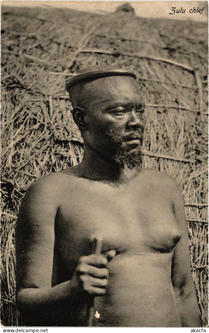 PC AFRICA, SOUTH AFRICA, ZULU CHIEF, Vintage Postcard (b53105) - Sudáfrica