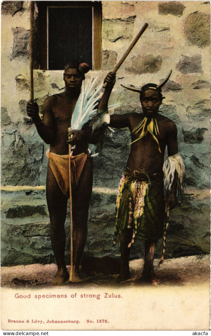 PC AFRICA, SOUTH AFRICA, STRONG ZULUS, Vintage Postcard (b53086) - Südafrika