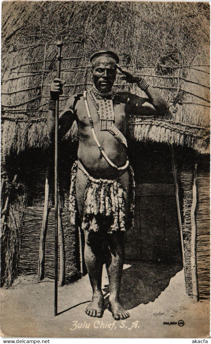 PC AFRICA, SOUTH AFRICA, ZULU CHIEF, Vintage Postcard (b53090) - Südafrika