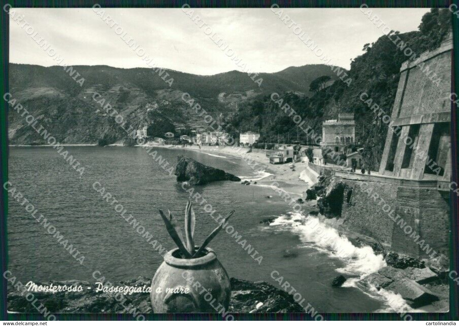 La Spezia Monterosso Foto FG Cartolina ZK1301 - La Spezia