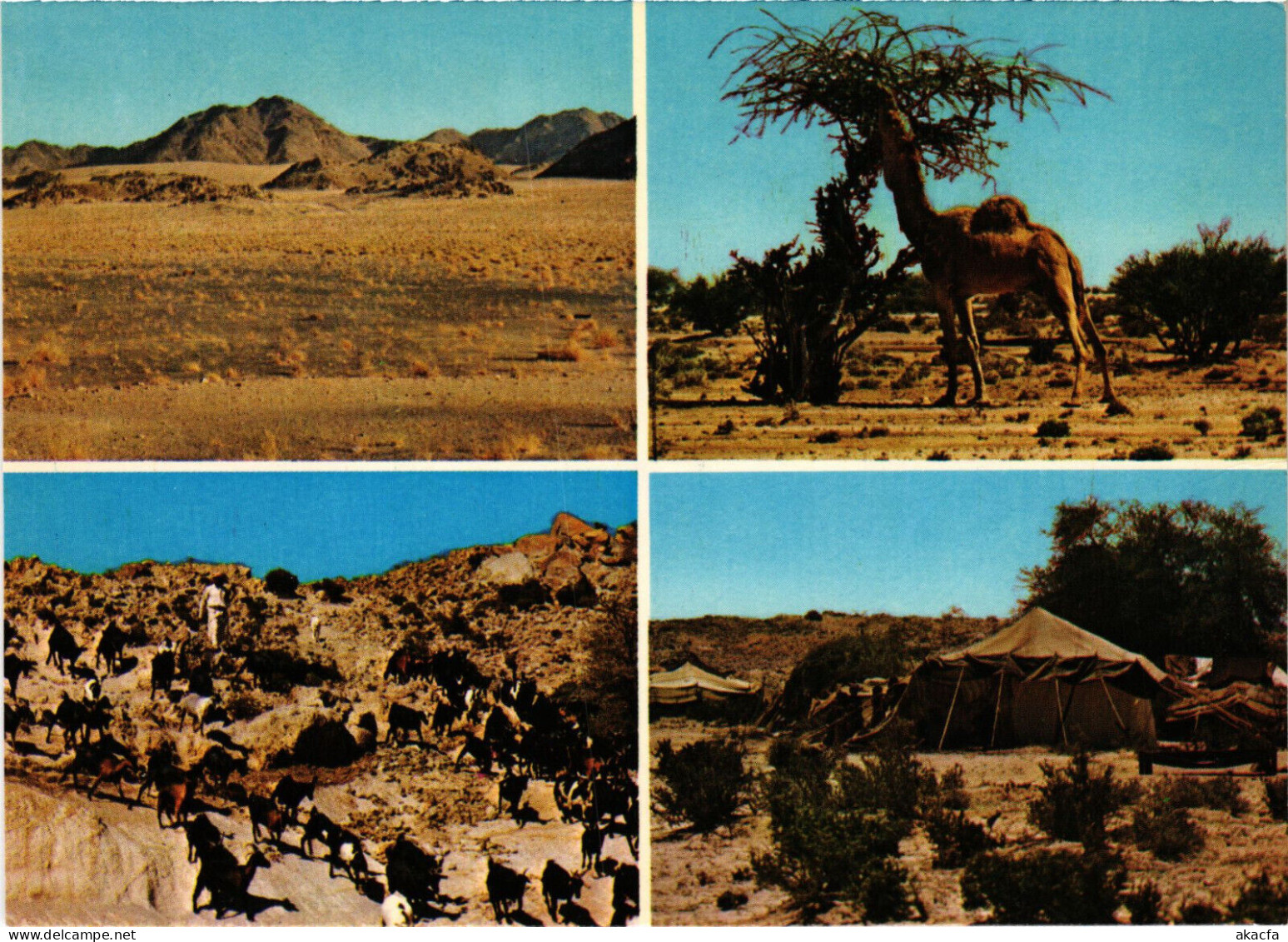 PC SAUDI ARABIA, SOUTH REGION, Modern Postcard (b52934) - Saudi-Arabien
