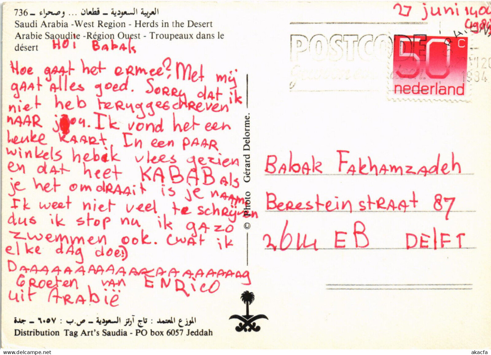 PC SAUDI ARABIA, WEST REGION, HERDS IN THE DESERT, Modern Postcard (b52898) - Arabie Saoudite