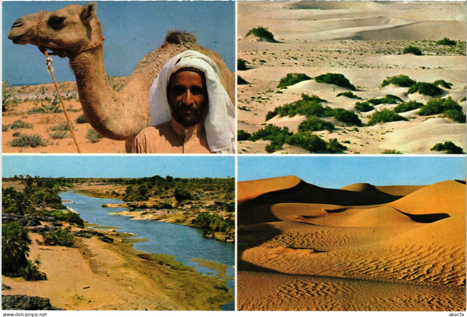 PC SAUDI ARABIA, THE RARE BEDOUIN, Modern Postcard (b52890) - Arabie Saoudite