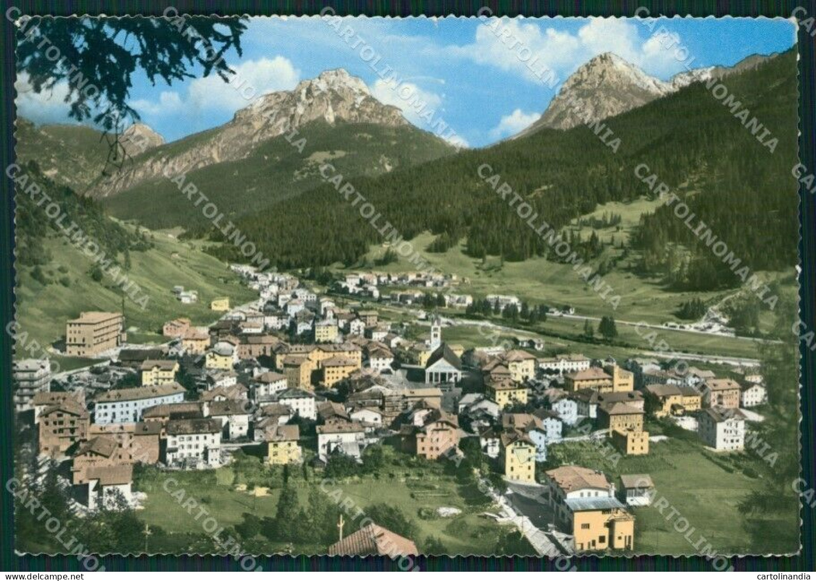 Belluno Santo Stefano Di Cadore Foto FG Cartolina ZKM7139 - Belluno