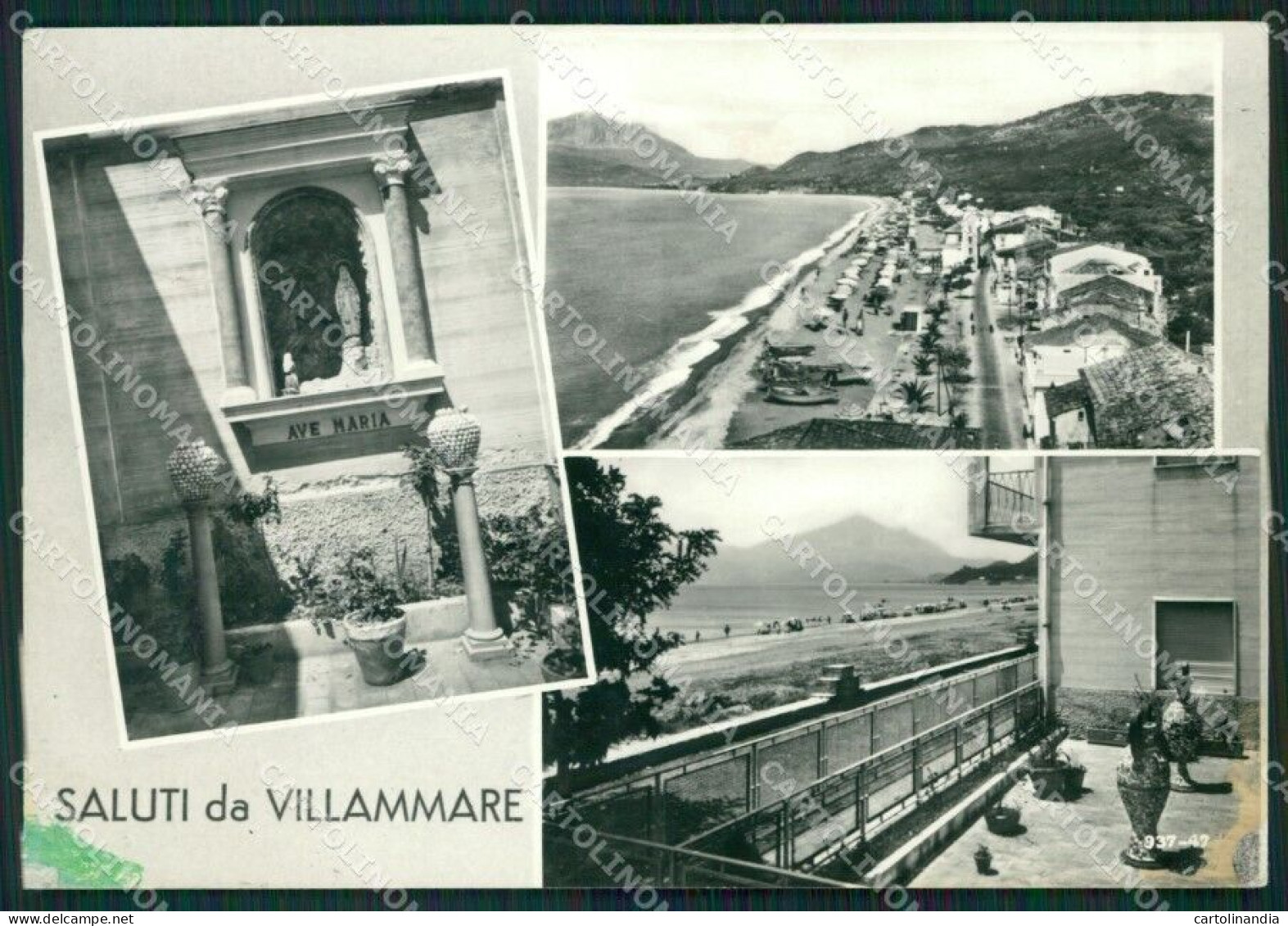 Salerno Vibonati Villammare Saluti Da MACCHIA Foto FG Cartolina ZKM7312 - Salerno