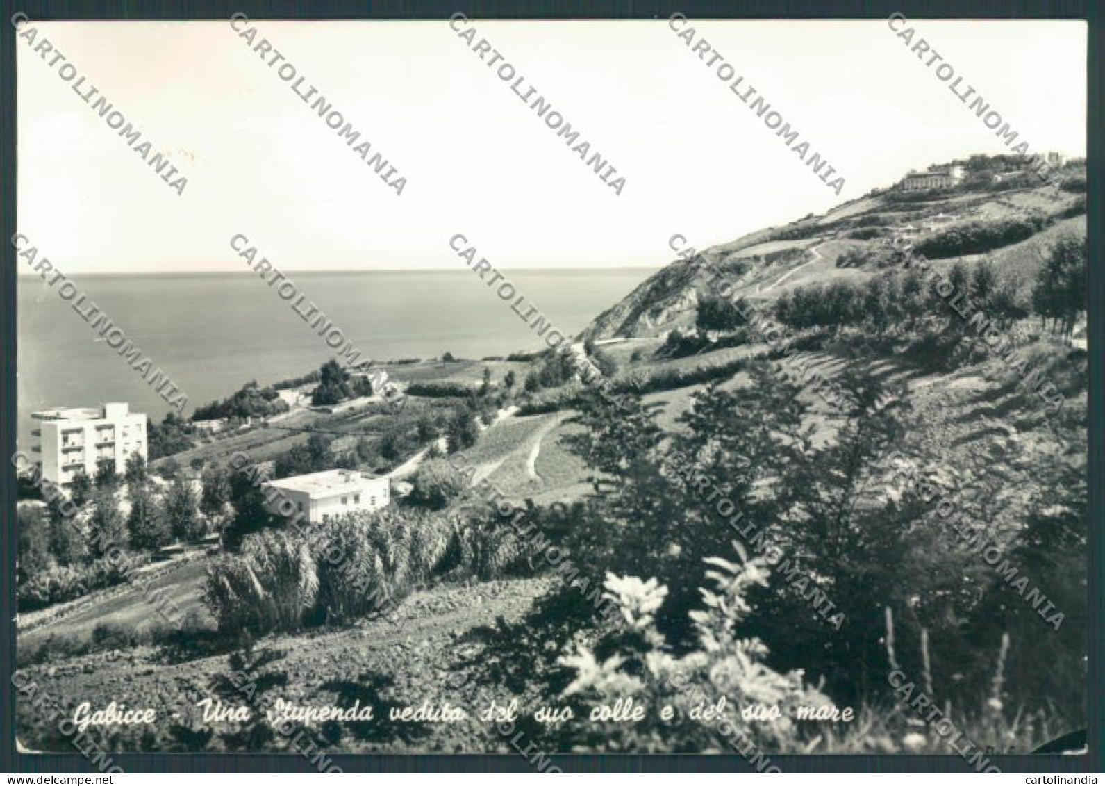 Pesaro Gabicce Foto FG Cartolina ZF6982 - Pesaro