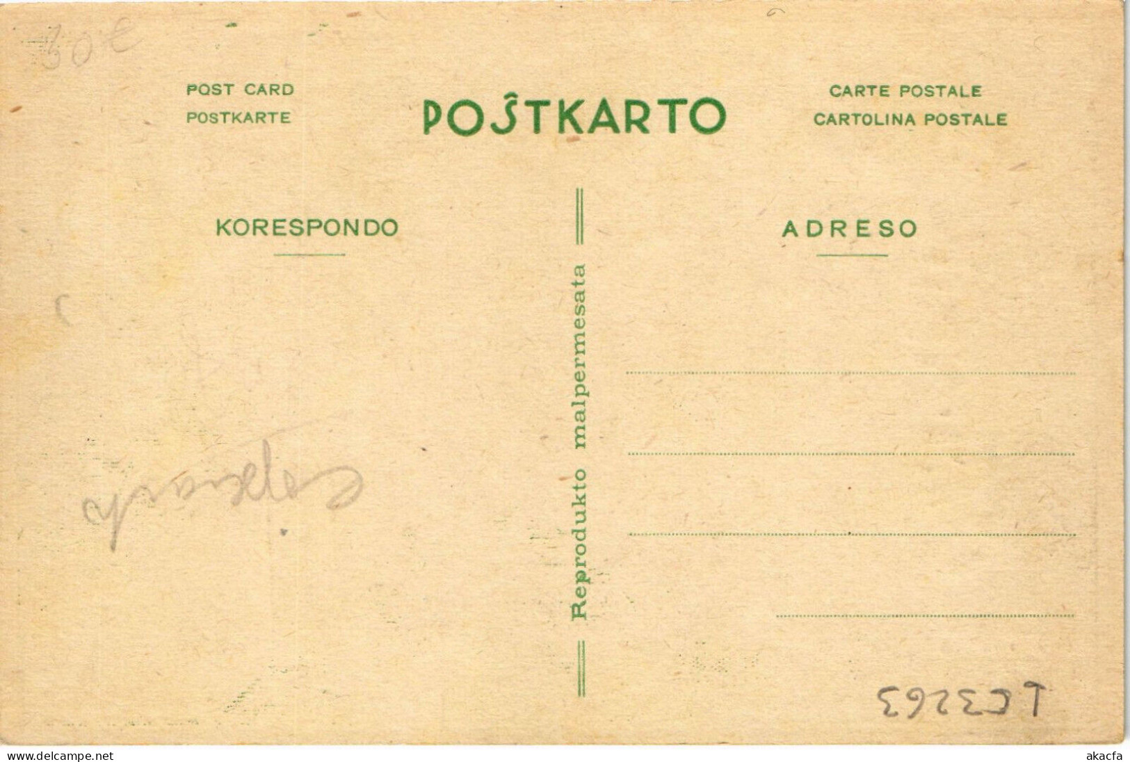 PC ESPERANTO, LINGVO INTERNACIA, Vintage Postcard (b53263) - Esperanto