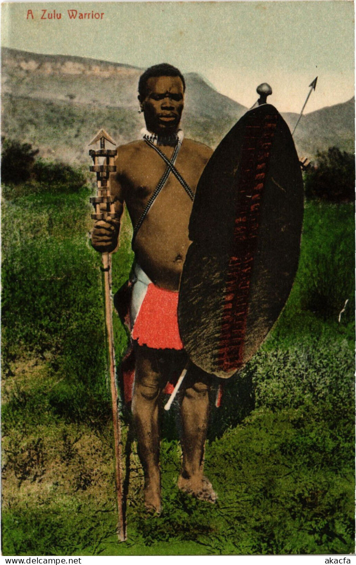 PC AFRICA, SOUTH AFRICA, A ZULU WARRIOR, Vintage Postcard (b53118) - Zuid-Afrika