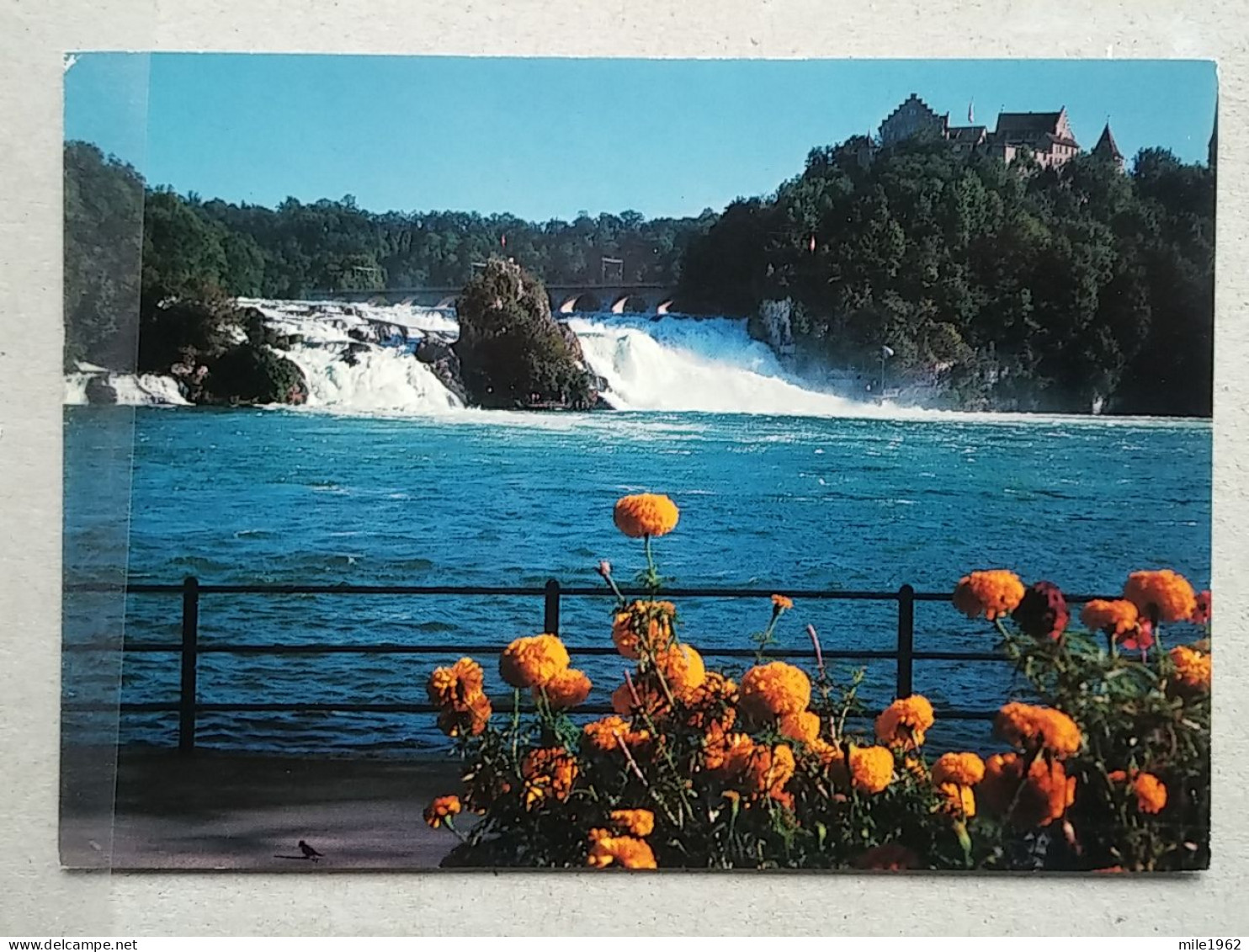 KOV 799-35 - SWITZERLAND, RHEINFALL, CASCADE, WATERFALL - Sonstige & Ohne Zuordnung