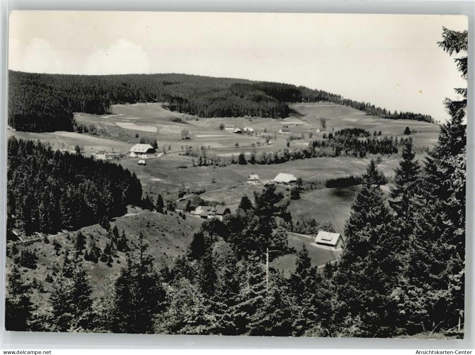 51219804 - Hinterzarten - Hinterzarten