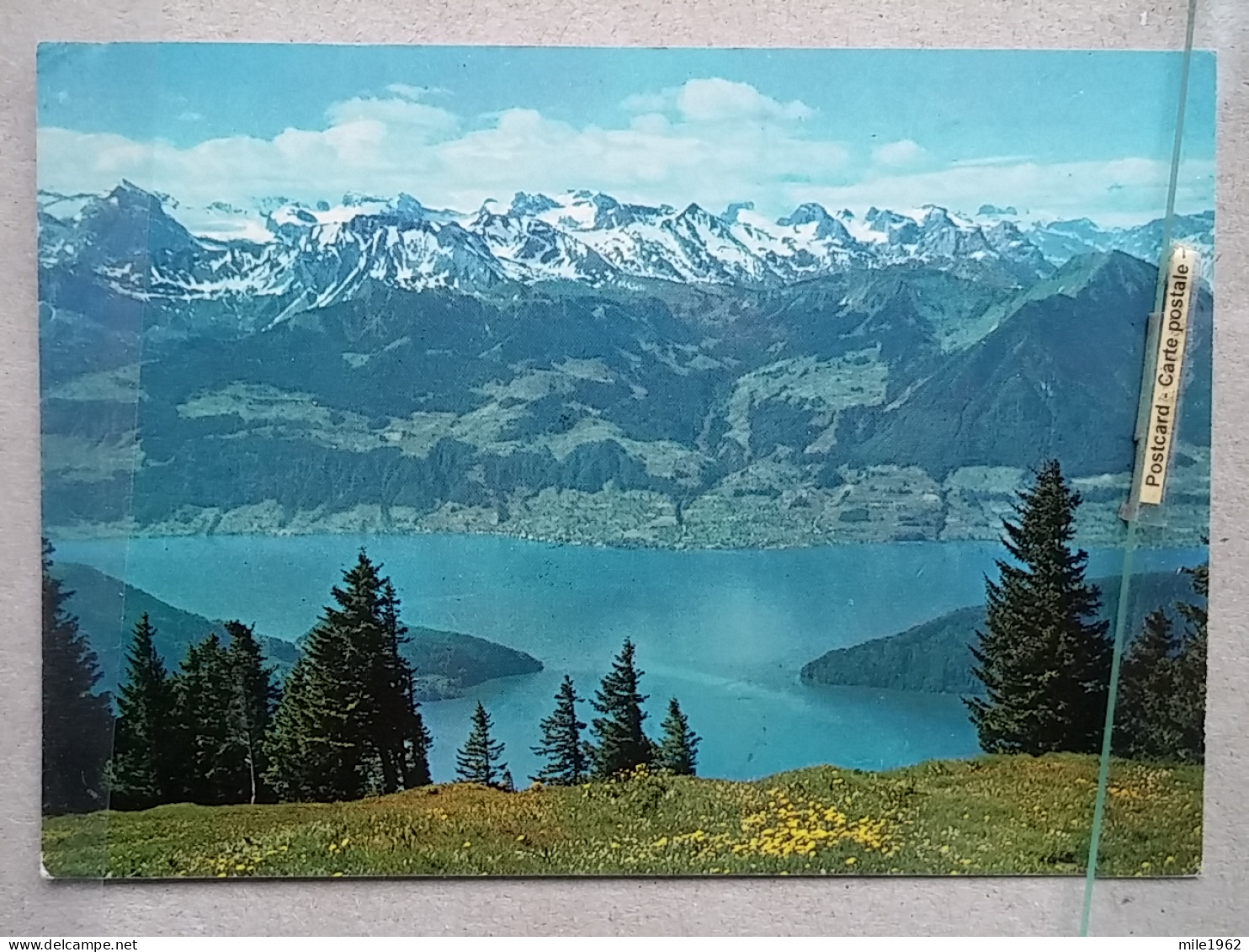 KOV 799-38 - SWITZERLAND, RIGI, VIERWALDSTATTERSEE - Sonstige & Ohne Zuordnung