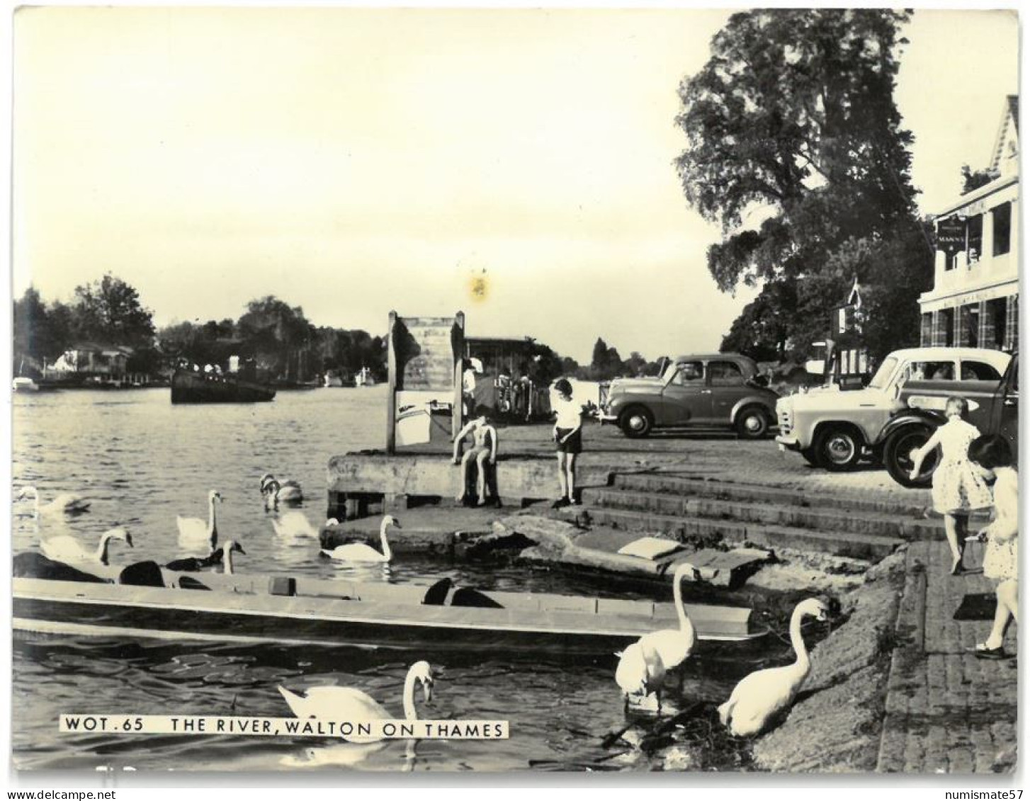 CPSM WALTON ON THAMES - The River - Surrey