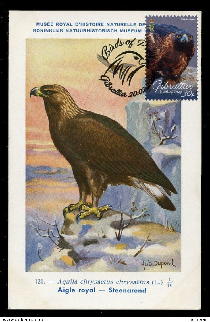 GIBRALTAR (2024) Carte Maximum Card - Birds Of Prey - Golden Eagle, Aquila Chrysaetus, Aigle Royal, Steinadler, Rapaces - Gibraltar