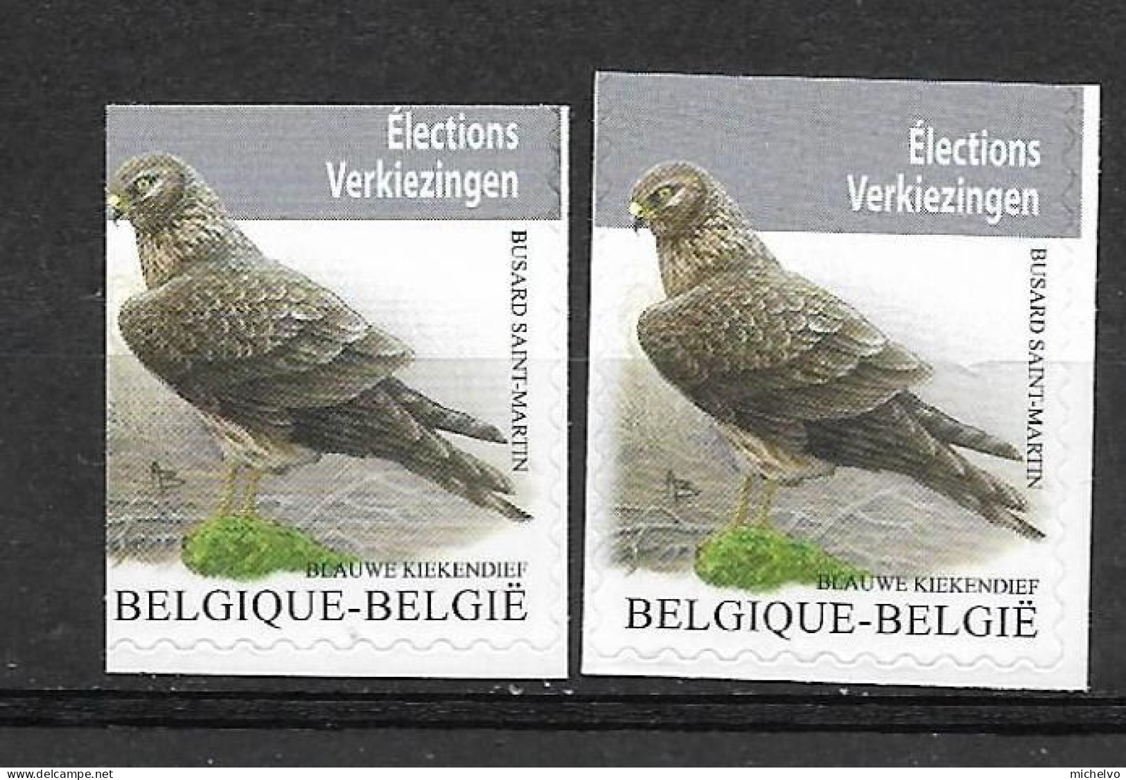 Belg 2024 - Timbre électoral - Busard Saint-Martin ** - Unused Stamps