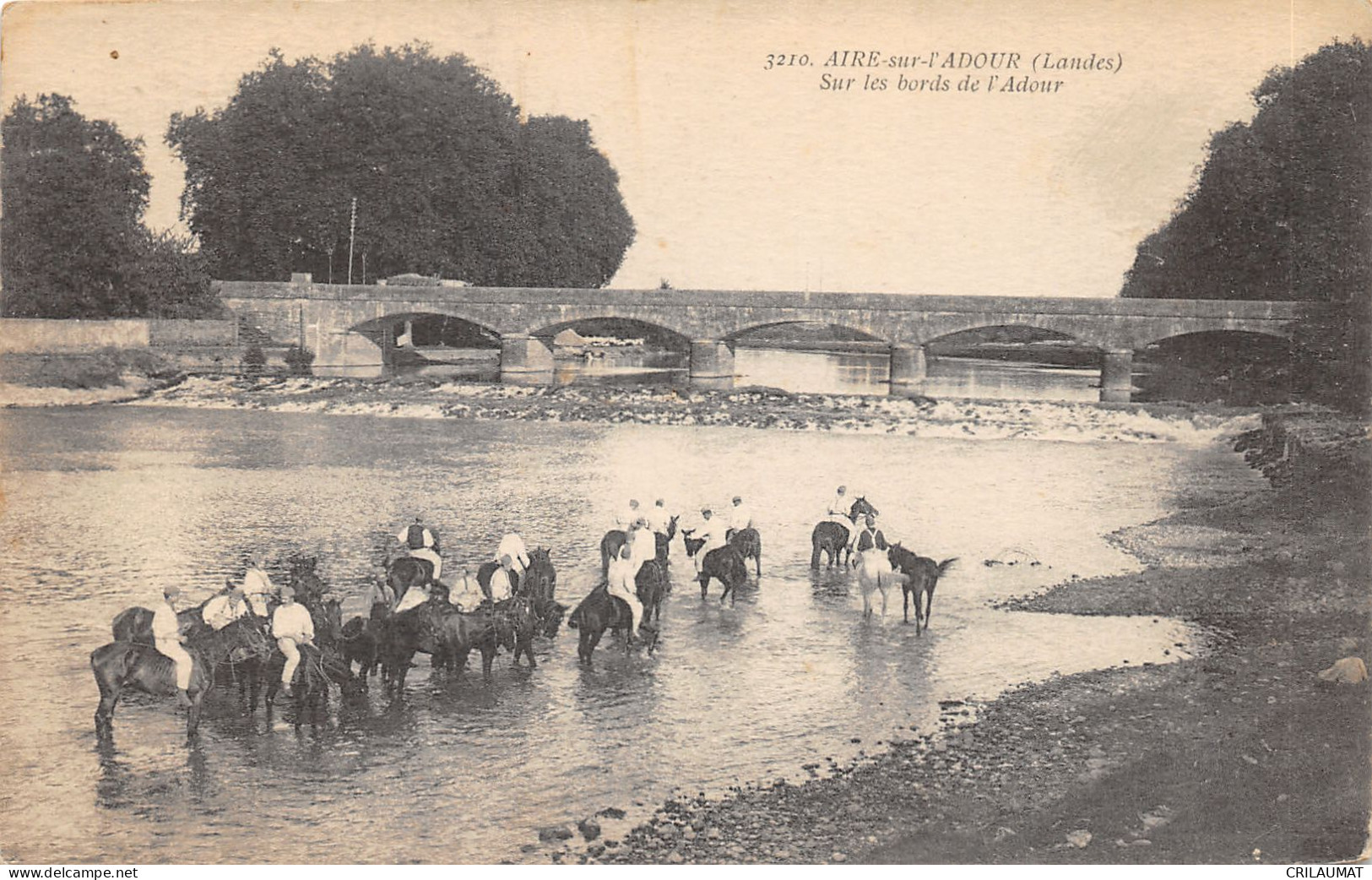 40-AIRE SUR L ADOUR-CHEVAUX DANS L ADOUR-N T6021-G/0383 - Aire