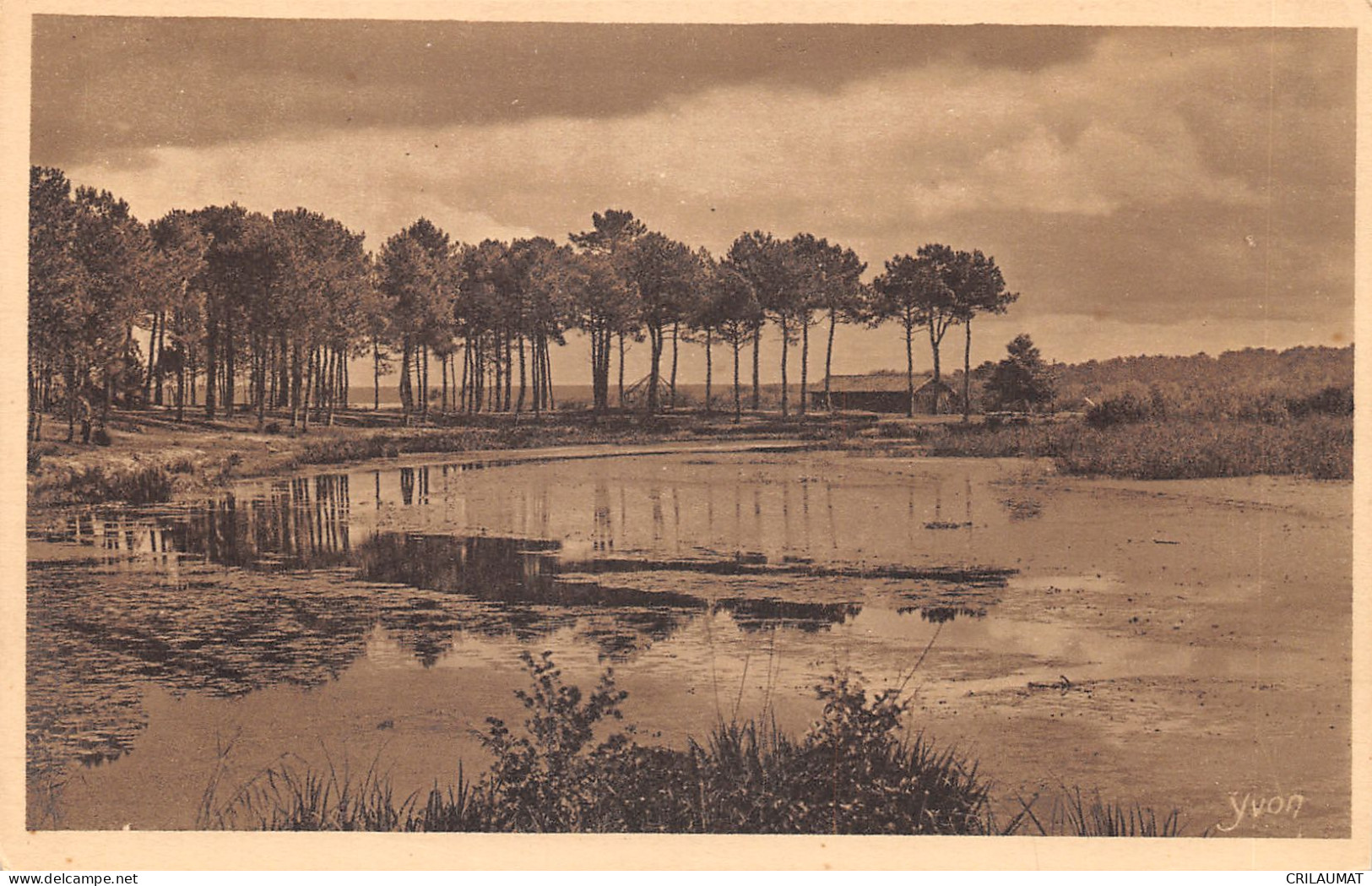 40-MIMIZAN LES BAINS-ETANG D AUREILHAN-N T6021-G/0265 - Mimizan