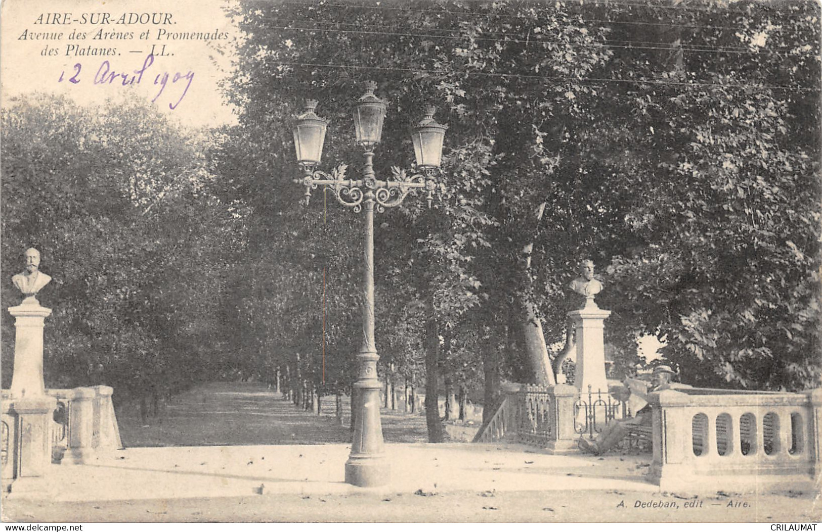 40-AIRE SUR L ADOUR-AVENUE DES ARENES-LES PLATANES-N T6021-G/0169 - Aire