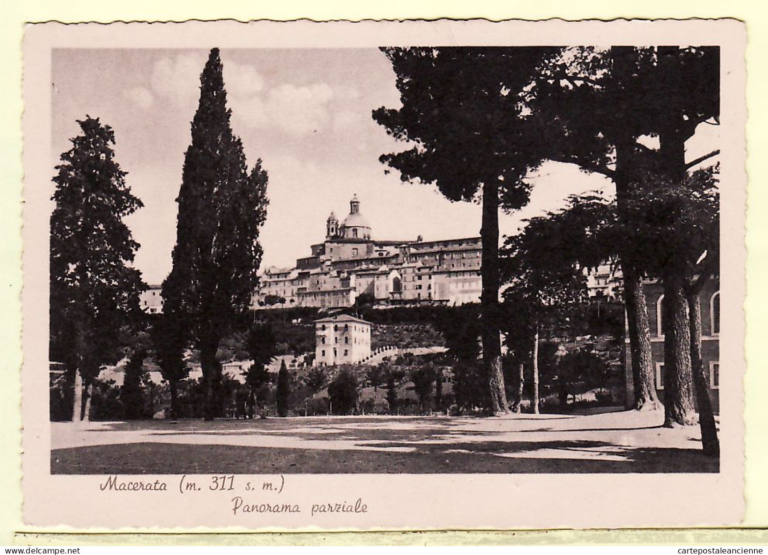 26829 / ⭐ MACERATA Marche  Panorama Parziale 1940s - PALMIERI Foto BERRETTA - Macerata