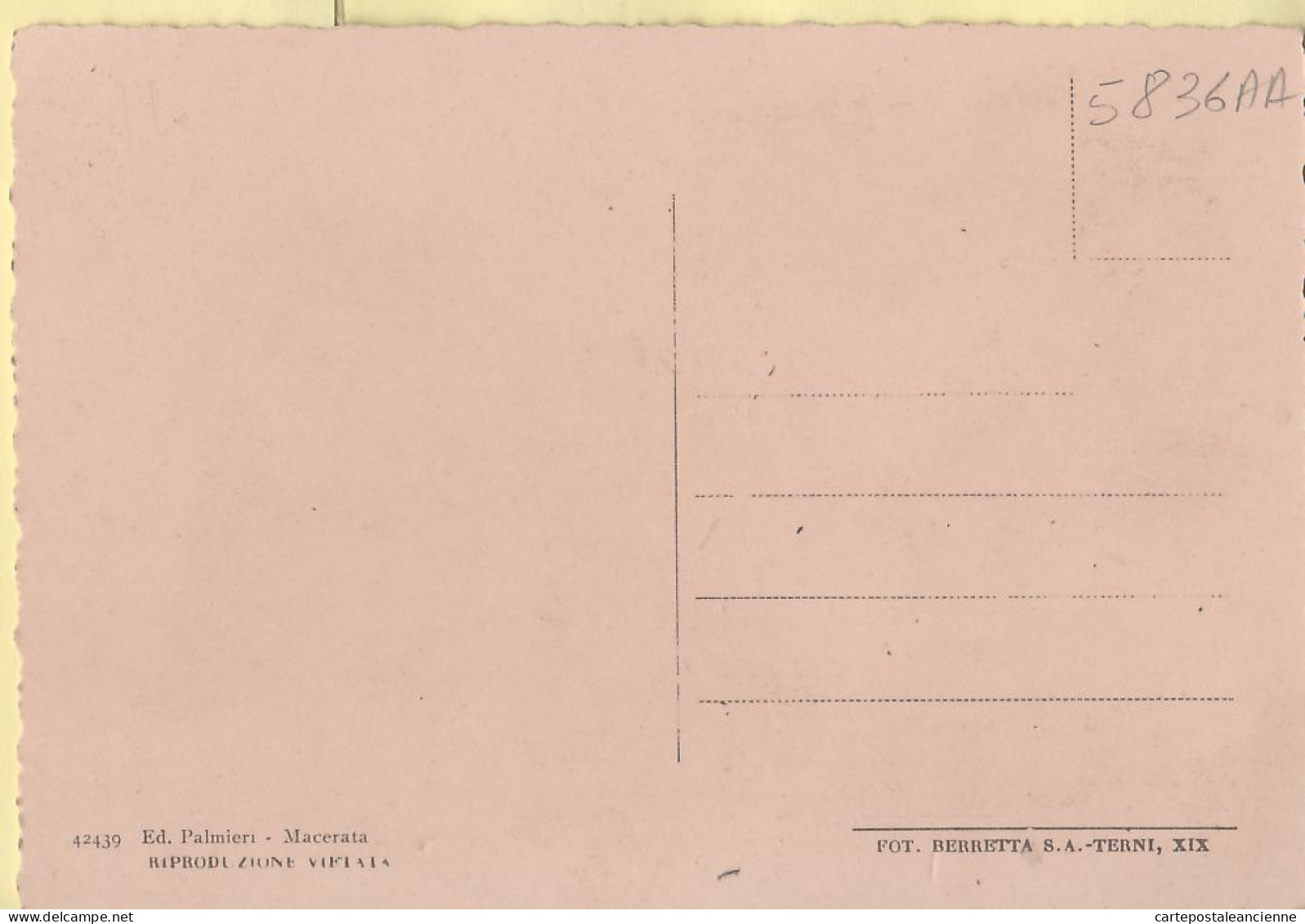 26829 / ⭐ MACERATA Marche  Panorama Parziale 1940s - PALMIERI Foto BERRETTA - Macerata