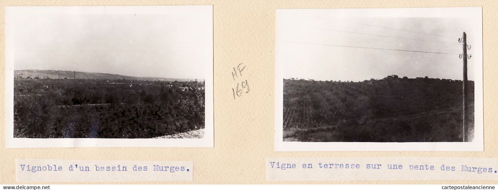 26773 / ⭐ ♥️ MURGES MURGE Vigneto Vasca Abbatto 1955 Italia Puglia 2 Fotografie 10x7 Vignes Vignoble Bassin Terrasse  - Lieux