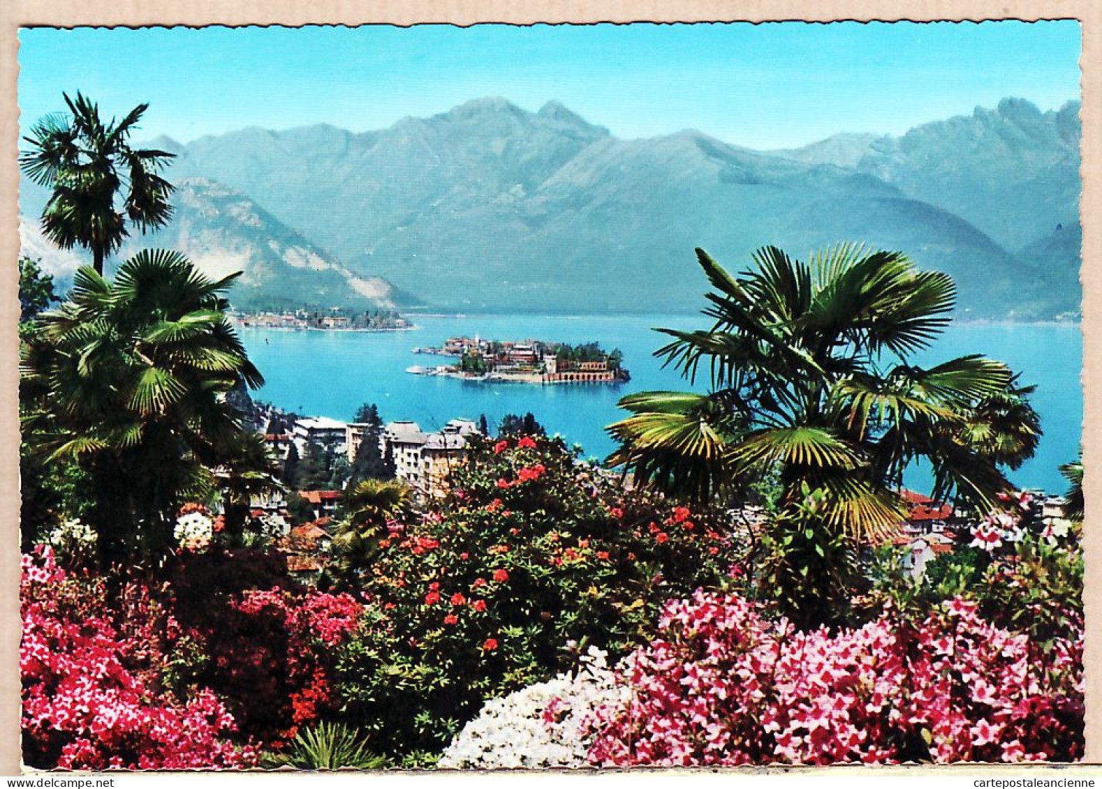 26894 / ⭐ Piemonte STRESA Lago Maggiore PANORAMA 1960s  (Etat Parfait Mint ) - COLOR PRINT PREDA N°177 Italia Italie - Verbania