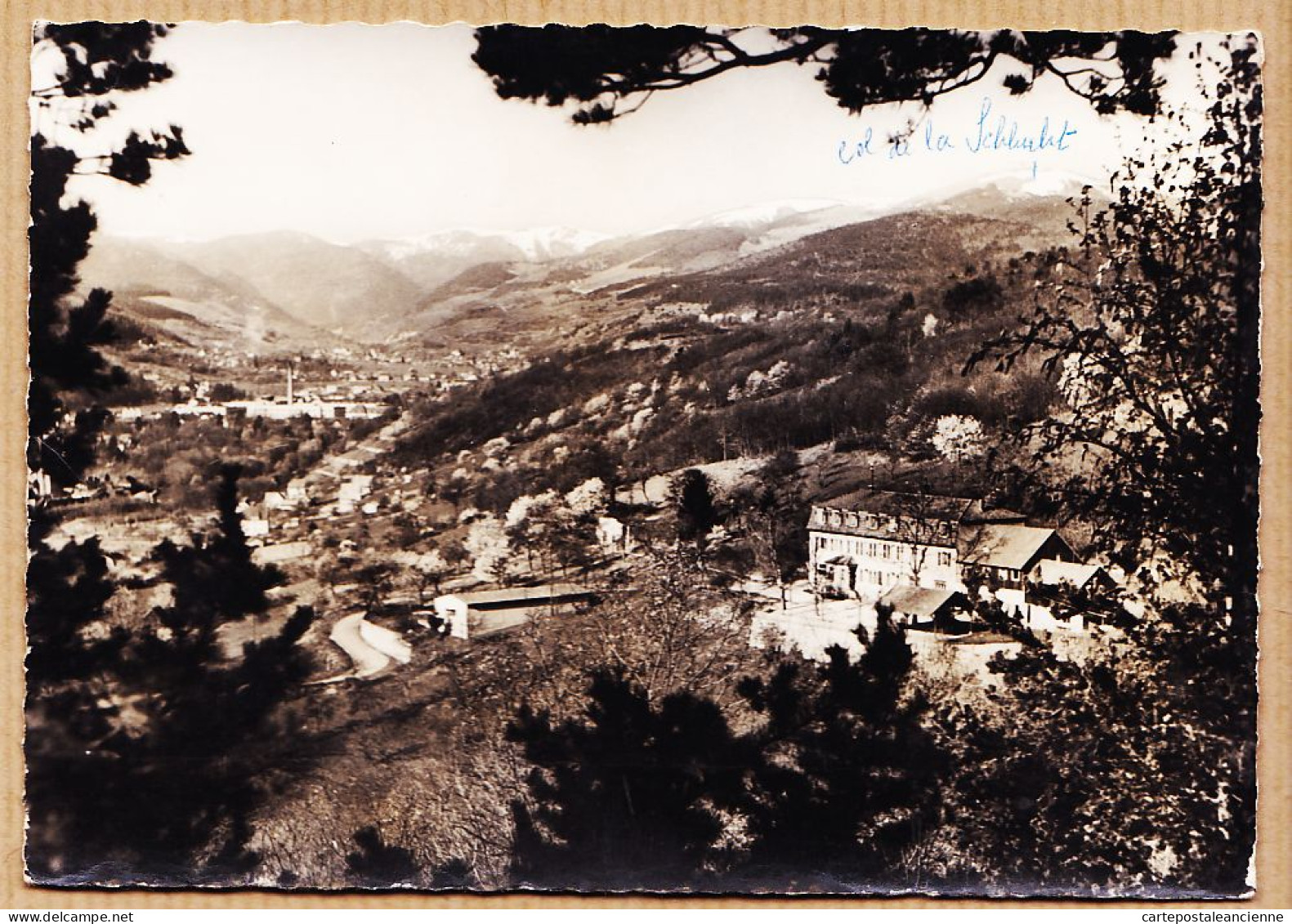 26568 / ⭐ 68-MUNSTER Haut-Rhin Le KLEEBACH Maison Repos Vacances Veuves Orphelins Guerre 1950s Photo Robert HERZOG 283a - Munster